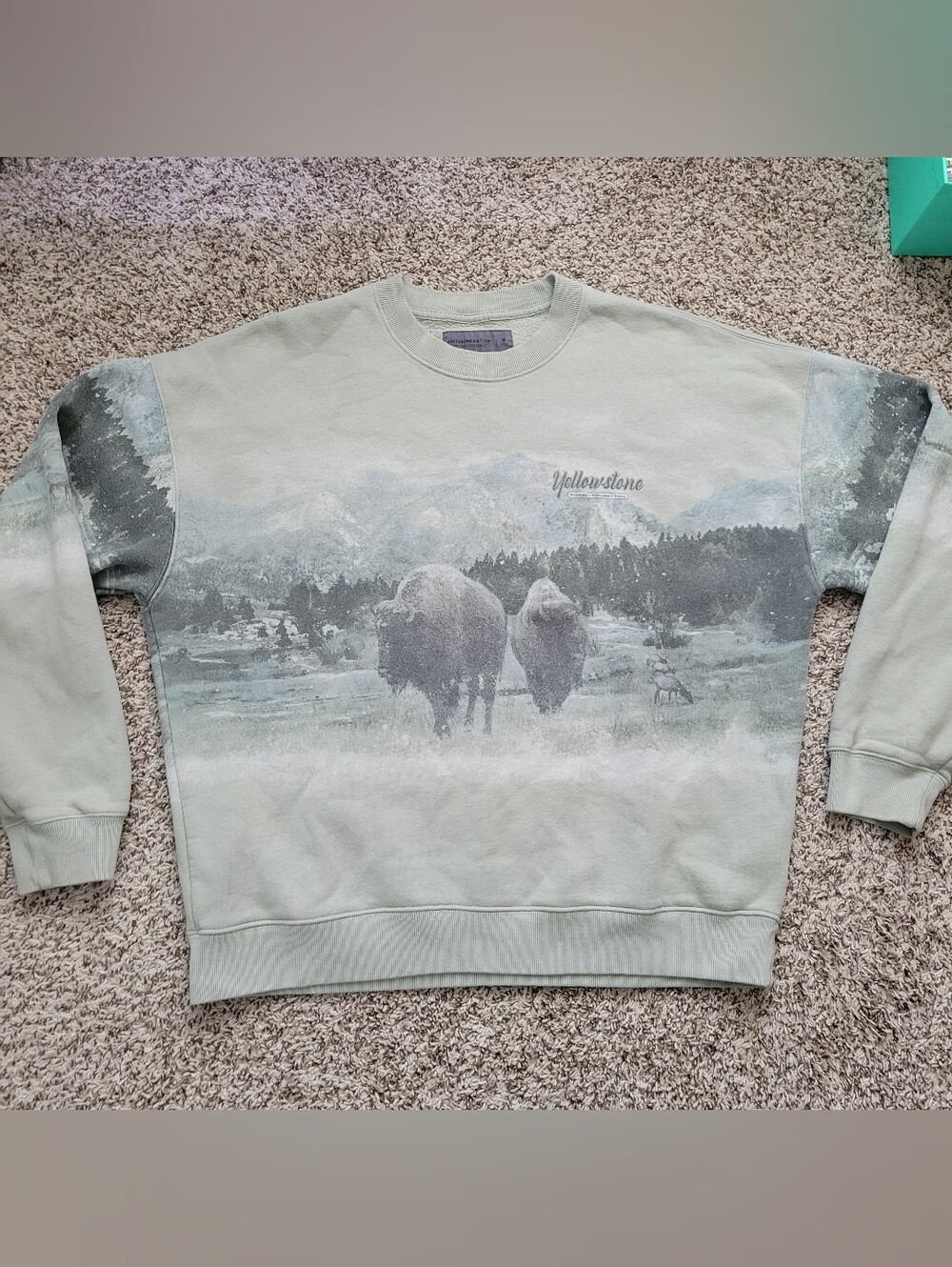 Abercrombie & Fitch Sweatshirt Yellowstone Light Green Fleece Crew Medium